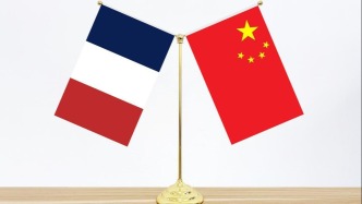 董军同法国国防部长举行会谈