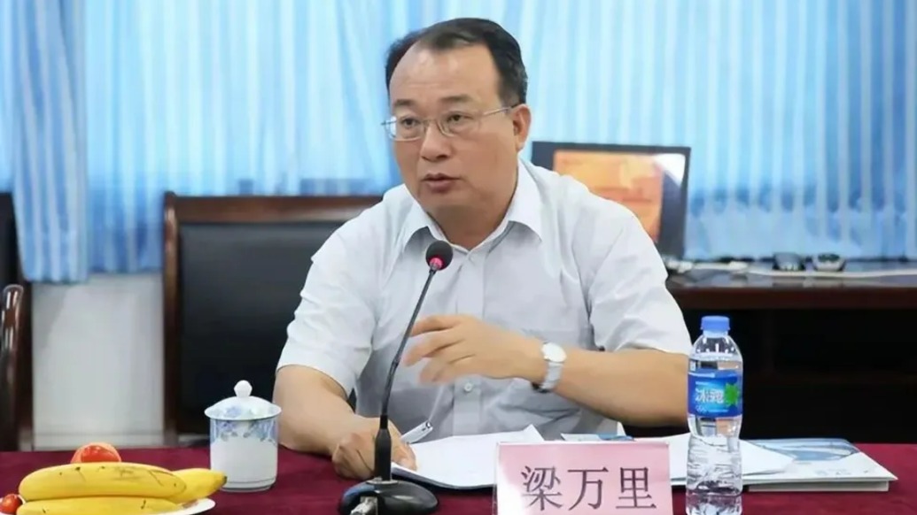 對(duì)黨不忠誠(chéng)不老實(shí)，對(duì)抗組織審查！廣東省紀(jì)委原副書(shū)記梁萬(wàn)里被開(kāi)除黨籍、取消退休待遇