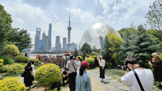 优化营商环境，服务上海“五个中心”建设，北外滩有何举措？