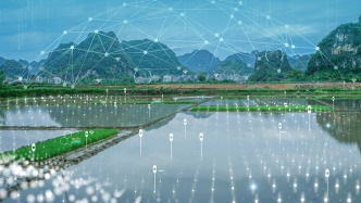 四部門(mén)：到2025年底，全國(guó)行政村5G通達(dá)率超過(guò)90%