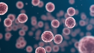 最新研究：新型合成小分子可“精准杀伤”癌细胞