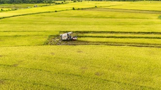 四部門：強化汛期農業防災減災，奮力奪取糧食和農業豐收