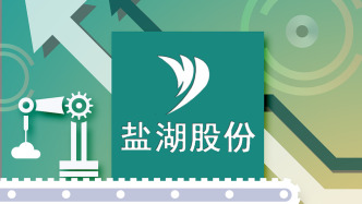 “中国神湖”加快放大资源规模！3亿美元换海外年产380万吨钾盐项目