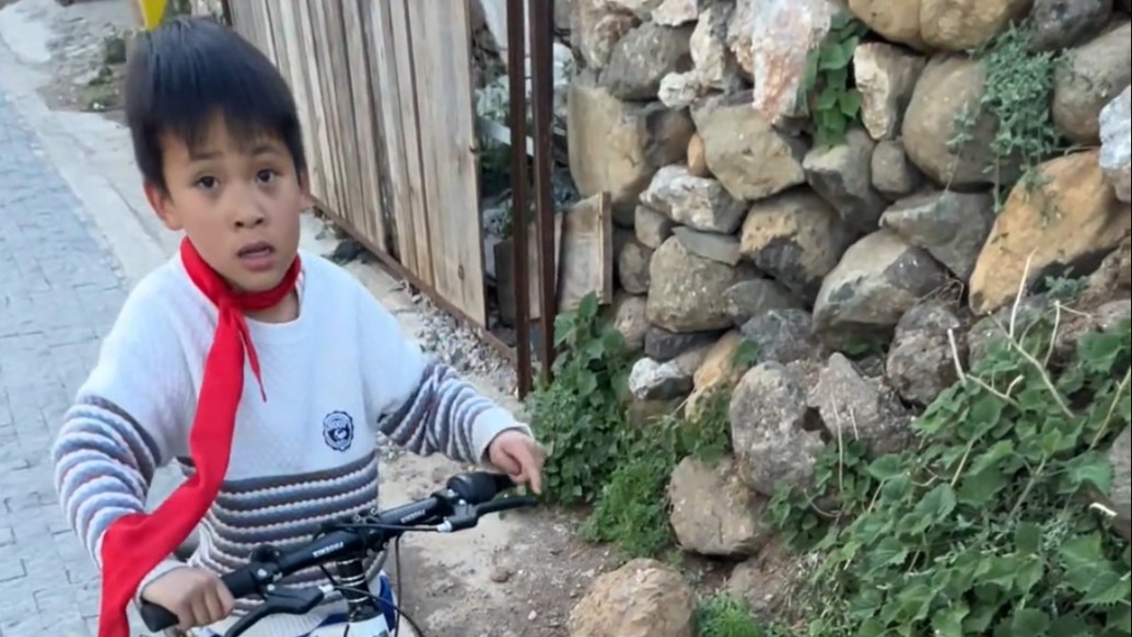 胸前的紅領(lǐng)巾更鮮艷了！游客誤碰霍麻草后手指腫痛，當(dāng)?shù)亍靶『⒏纭睅兔φ业浇馑?/></span></div><div><h2 class=