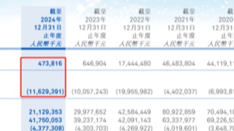 國美零售：2024年續虧116億，門店數較高點減少超4000家