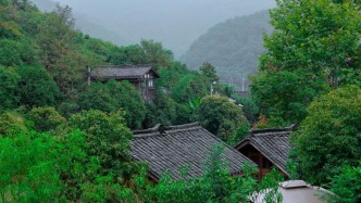 透视社会组织创新实践中的花开岭现象：与乡村发展的融合共进