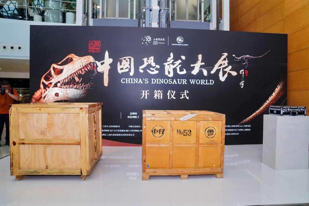 三件珍贵标本开箱！中国恐龙大展5月26日在沪开幕，明星标本汇聚一堂