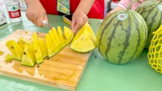 取得金獎西瓜品種獨家使用權的上海金山，為何要到異地“試種”？