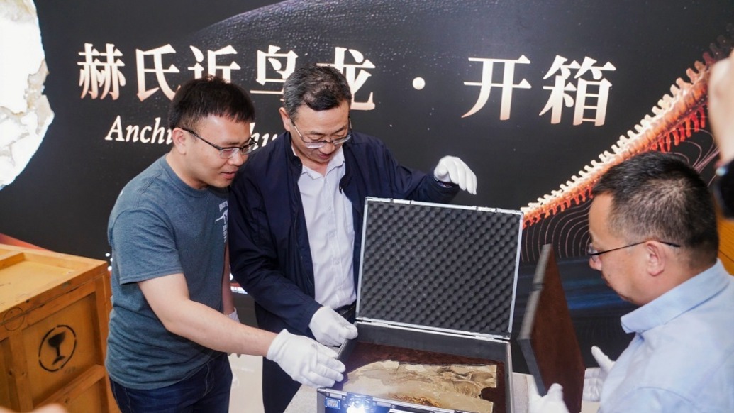 恐龍迷們快集結!中國恐龍大展將開幕,118件明星標本齊聚上海