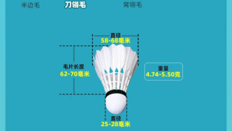 羽毛球憑什么賣到300元？1只鵝造不出1個球