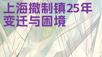H5｜澎湃城市報告：上海撤制鎮25年變遷與困境