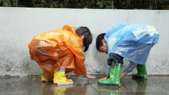 夜讀丨在雨中撒歡兒