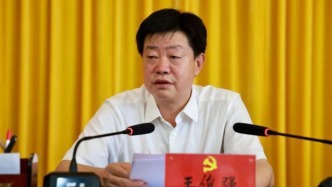 甘肃省陇南市人大常委会党组成员、副主任王俊强，主动投案