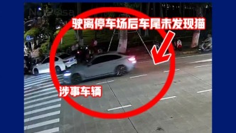 海口警方通報“車輛拖貓事件”：貓鉆入車底，牽引繩末端手柄卡在底盤