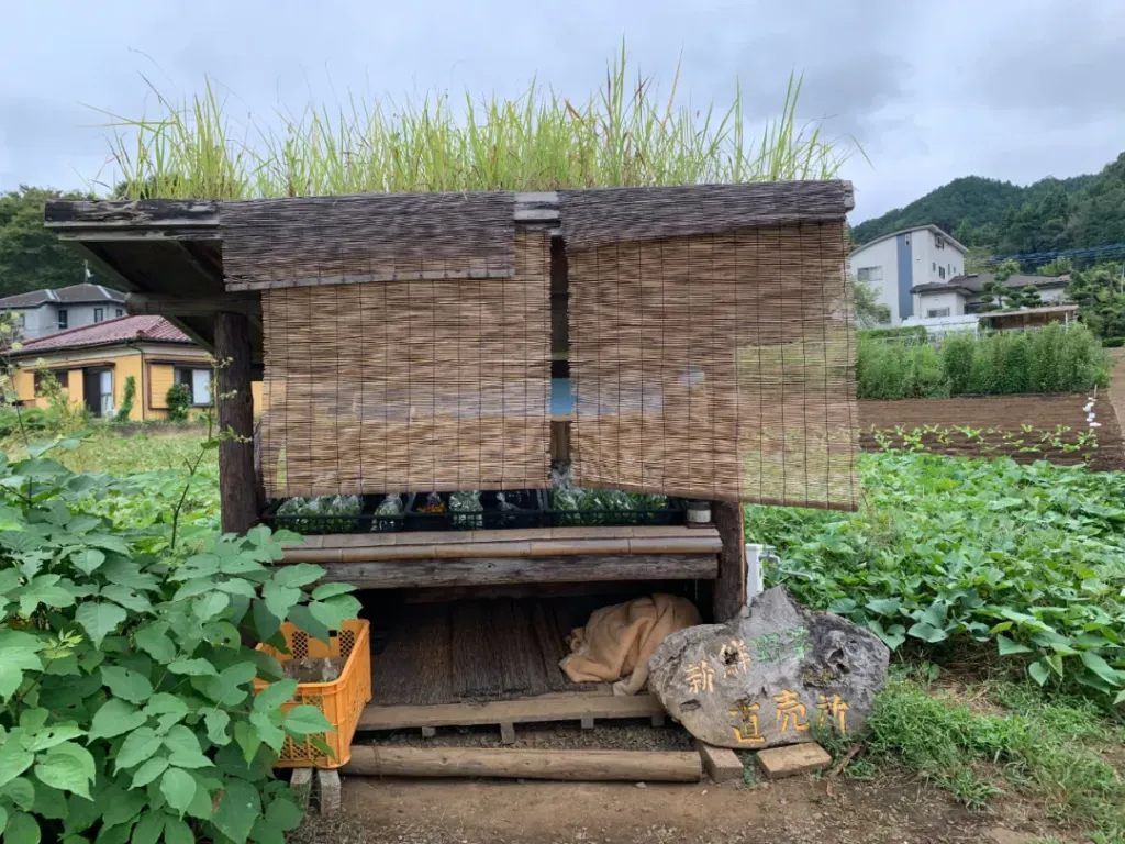 气候与餐桌｜日本“藤野转型”的启示：竖起天线，找到同伴