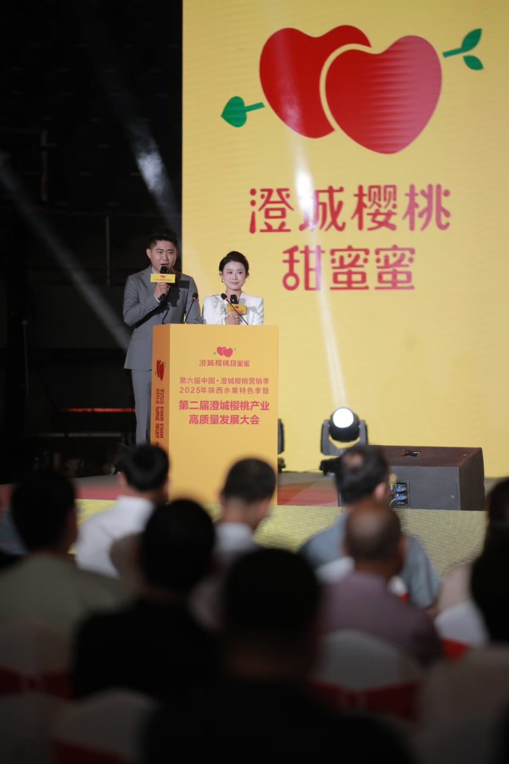锚定建设“中国樱桃第一县”目标，第六届澄城樱桃营销季启动
