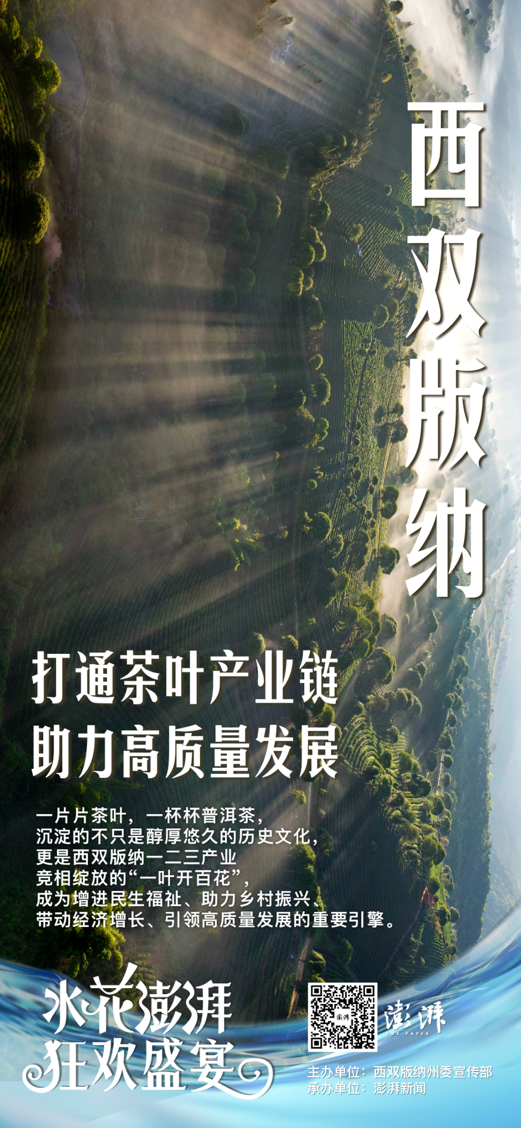 “世界茶树原产地”打通全产业链，茶文旅融合助力西双版纳高质量发展