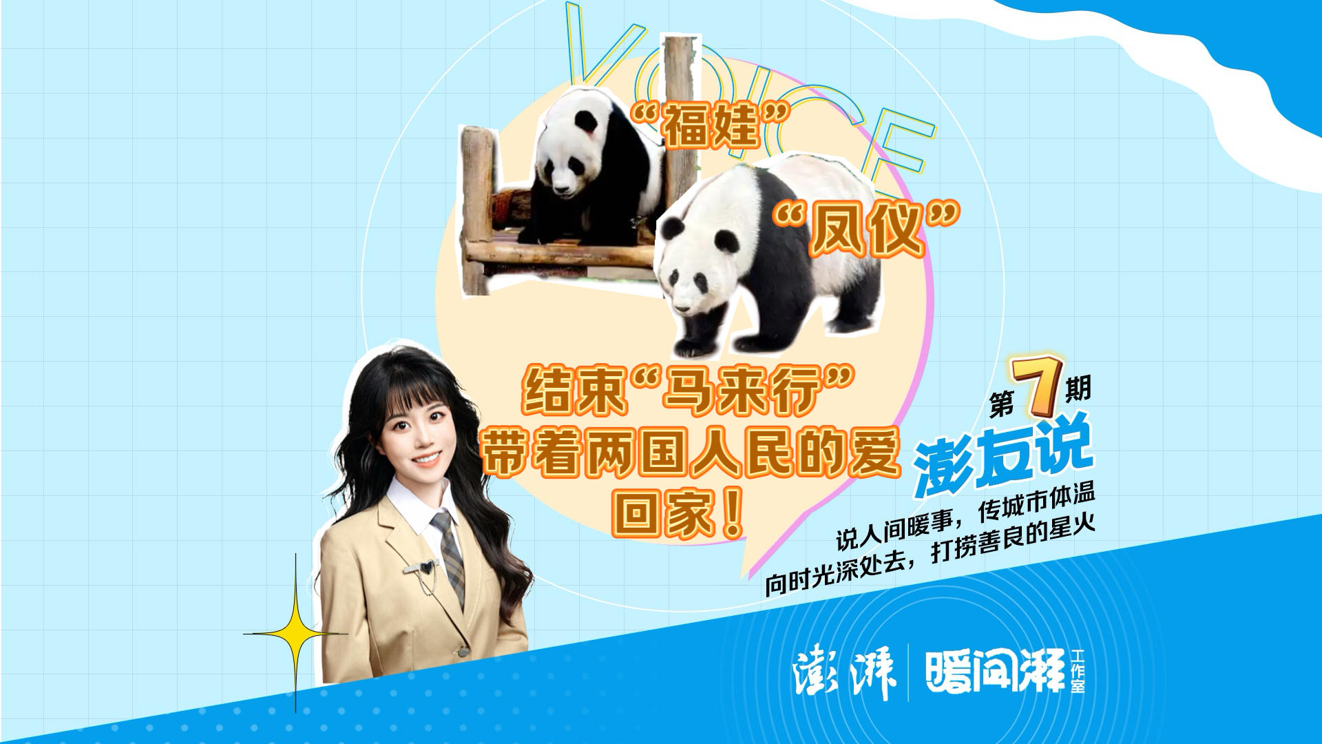 澎友說(shuō)丨“福娃”“鳳儀”結(jié)束“馬來(lái)行”，帶著兩國(guó)人民的愛(ài)回家啦！