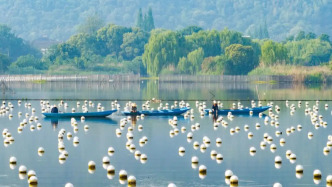 总数再更新！我国新增三项全球重要农业文化遗产