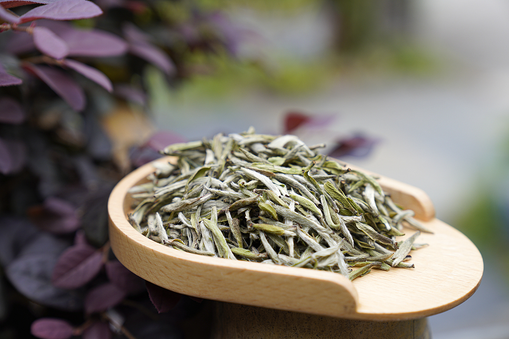 继乌龙茶之后白茶再破局，中国团队主导制定国际标准获进展