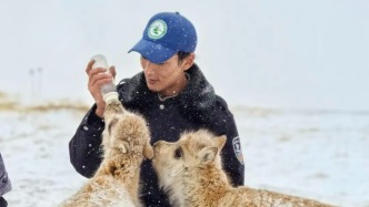 我国200多种珍稀濒危野生动物进入恢复性增长阶段，保护成效显著