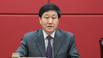 中央巡視期間，70歲劉海芳主動(dòng)投案