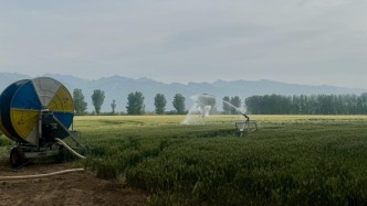 粮食丰产的“水密码”：加强现代化灌区建设，告别“望天收”