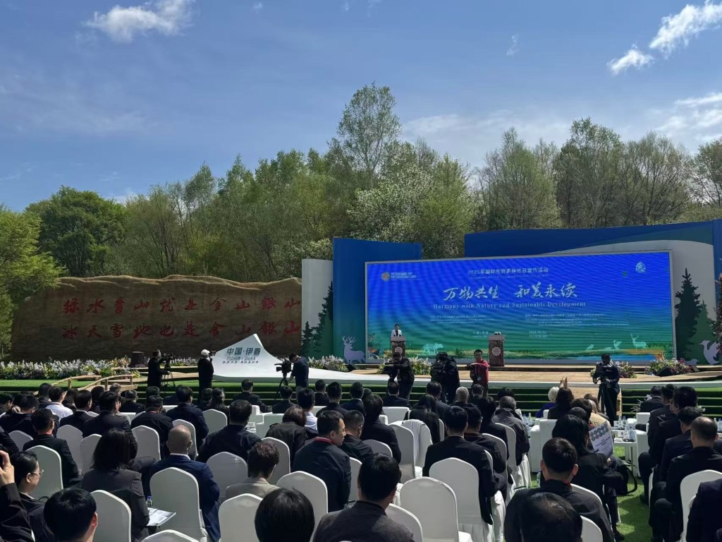 在国家主场活动举办地伊春，探寻老林区的生态密码