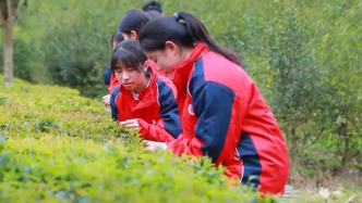 焦點訪談｜如何答好科學教育加法題？各地中小學創新探索