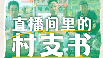直播间里的村支书——与三位村支书的线上对谈
