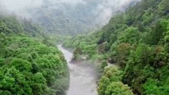 我国生物多样性保护成效如何？这份“成绩单”亮了