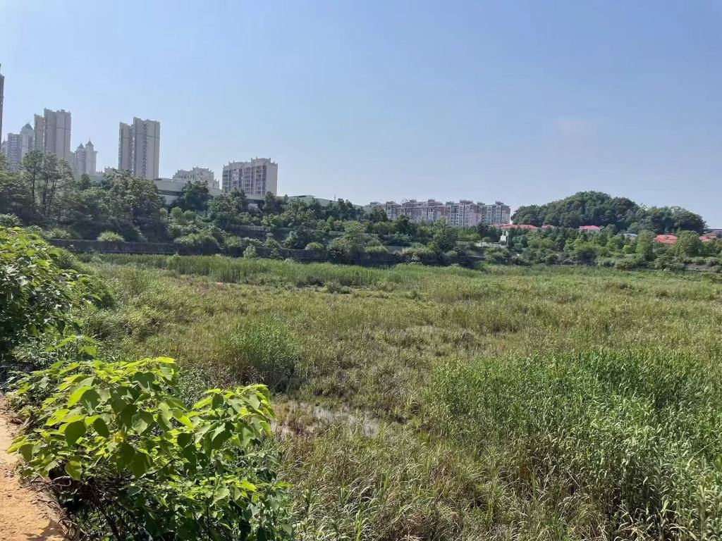 东莞中院查封的土地被益阳自规局“解封”，争议背后的司法与行政博弈