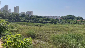 东莞中院查封的土地被益阳自规局“解封”，争议背后的司法与行政博弈