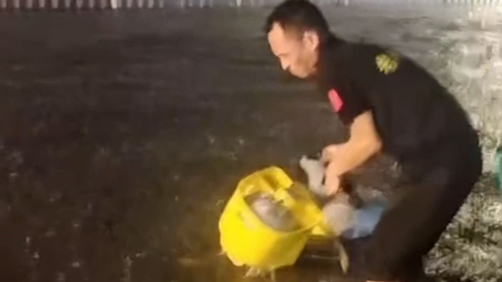 安徽阜陽遇強降雨天氣，退伍軍人冒雨推出積水中的共享單車