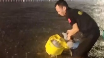 安徽阜陽遇強降雨天氣，退伍軍人冒雨推出積水中的共享單車