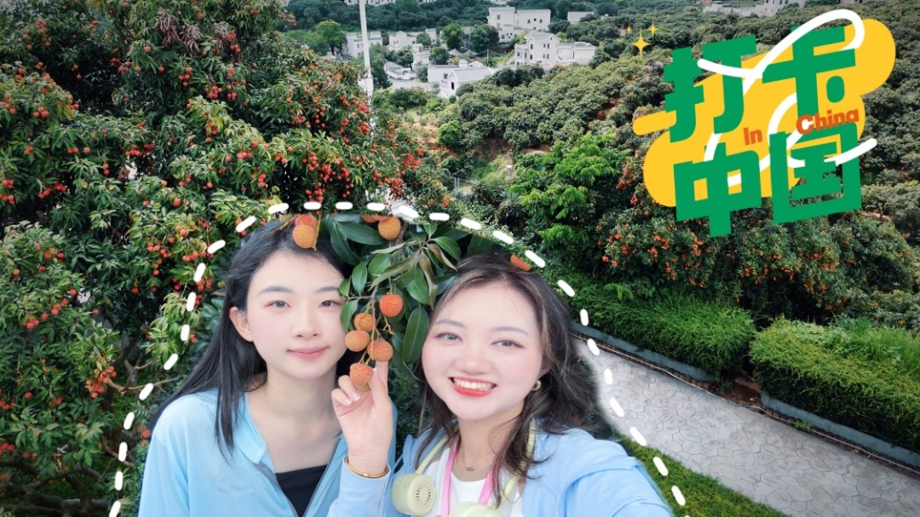 打卡中国|荔枝成熟“中国荔乡”游客如织,千年荔枝文化有新内涵