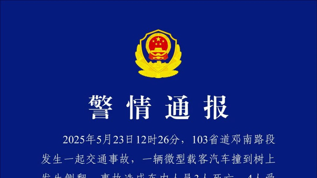 武漢警方：一輛微型載客汽車撞樹側翻，致3死4傷