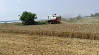 馬上評丨“農(nóng)機(jī)手免費(fèi)吃住”，暖心服務(wù)助夏收