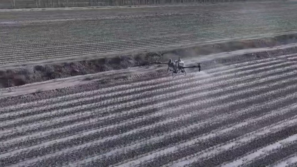 無人機施肥、智能灌溉！新疆和碩辣椒種植更 “智慧”了