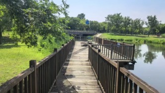 公園木棧橋護欄破損、橋面開裂，如何筑牢安全防線？