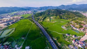 困在流量中的村支書們