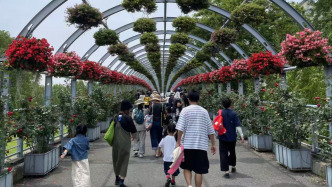 上海下周好天气持续输出，周日天气有转折