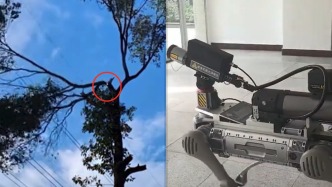 成都砍樹，都用上機器狗了