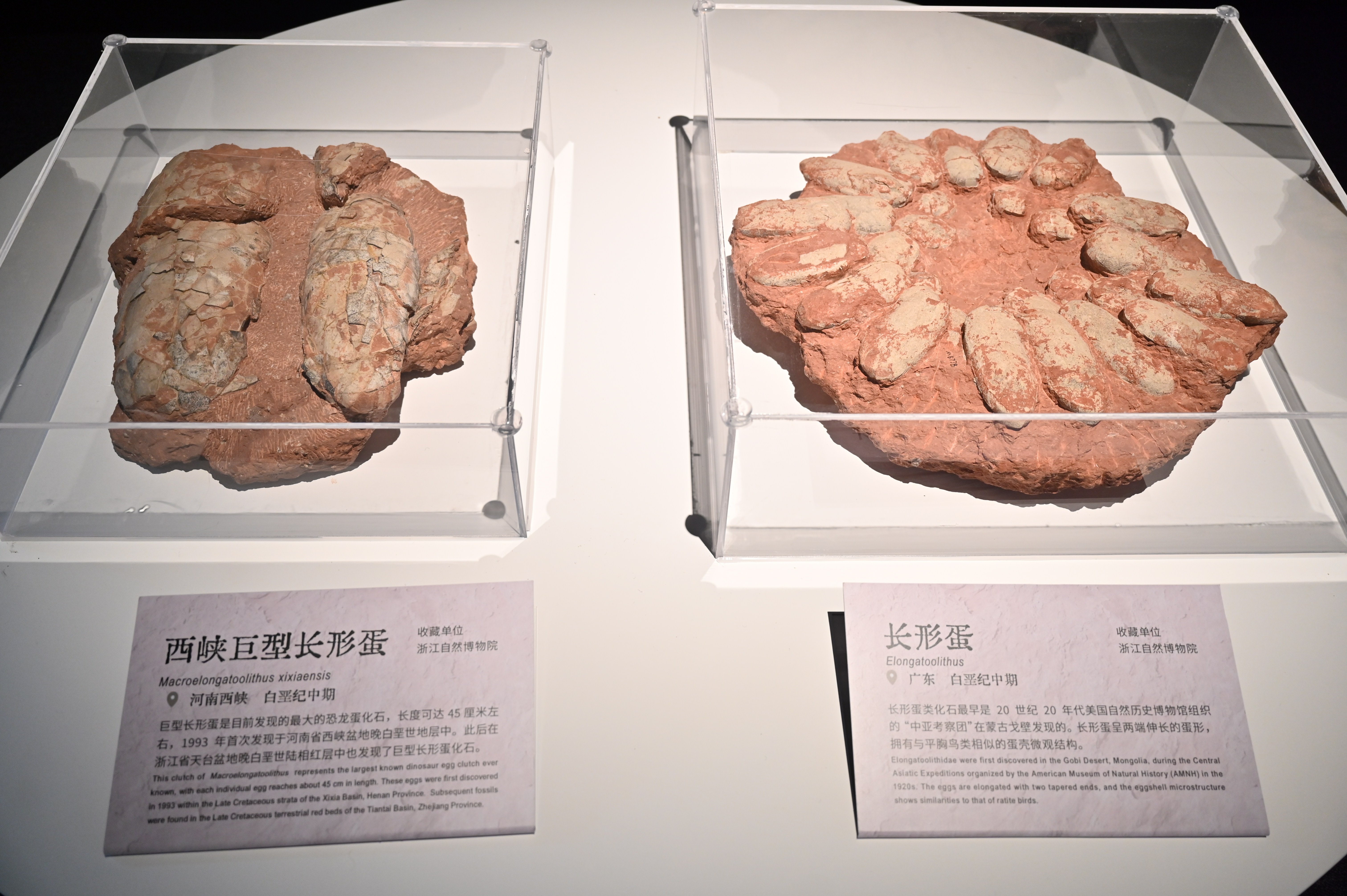https://imgpai.thepaper.cn/newpai/image/1748226554055_PSwh44_1748226714751.jpg