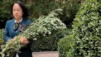 端午未到“艾”先至！濟南一小區為四千戶業主送艾草