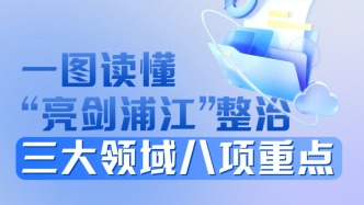 一图读懂“亮剑浦江·2025”整治三大领域八项重点