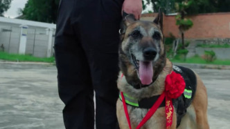 云南3條警犬光榮退役，訓導員濕了眼眶