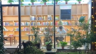 鄉(xiāng)村教師夫妻把廚房爆改書房供附近孩子免費閱讀：讓他們遠離手機