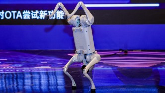 一场国际人形机器人技能大赛背后，未来如何加速照进现实？