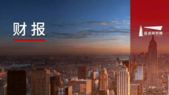 2024年酒店集团财务分析报告